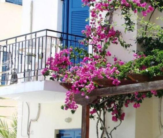 Lianos Hotel Apartments Spetses Town Ngoại thất bức ảnh
